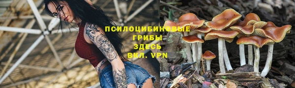 мдпв Белокуриха